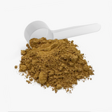 Mushroom Fuse Instant Coffee (Medium Roast) – image 5