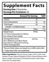 Premium Shilajit Gummie w/Ashwaganda – image 2