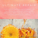 Calendula + DMAE Facial Crème-Facial Crème-AlchePharma – image 4