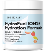 HydraFuel Ion2+Hydration Fruit Punch – image 1