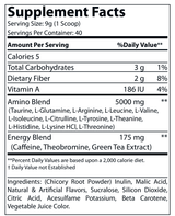 Energized Aminos Peach Mango 360g – 40 serv – image 2