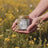 Manuka Honey Chamomile Tallow Body Balm