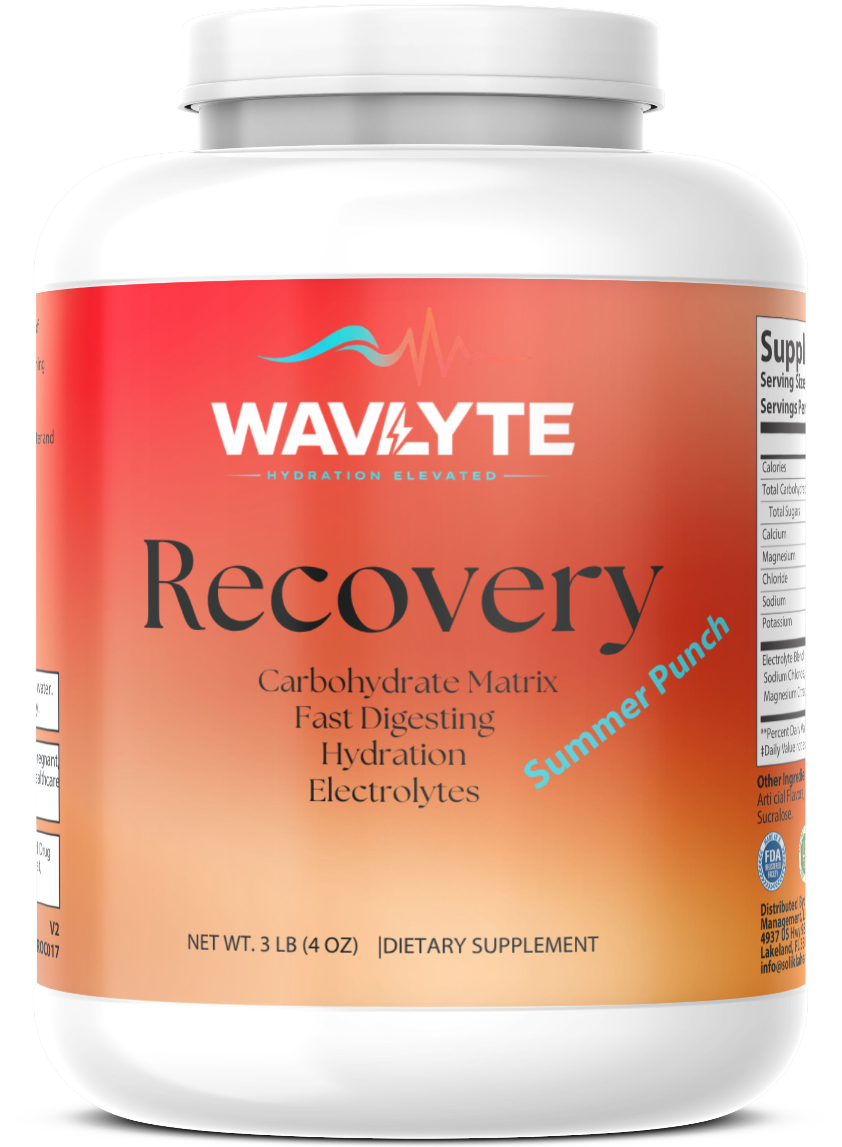 Recovery Carb + Electrolyte Summer Punch 1365g